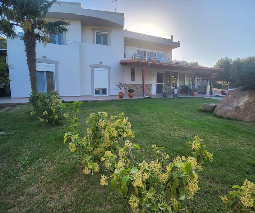 Villa Lux House With Garden Kámpos Esterno foto