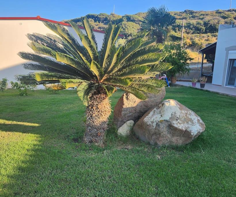 Villa Lux House With Garden Kámpos Esterno foto